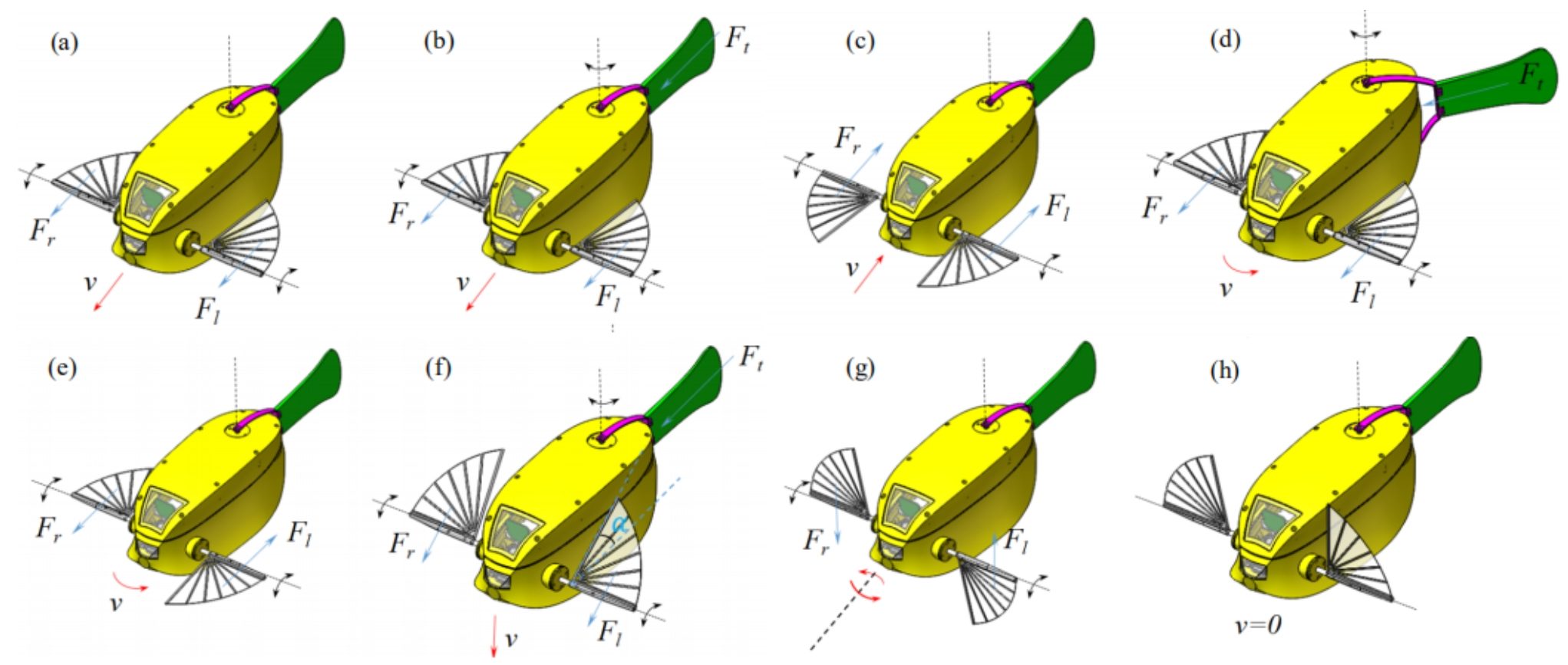 Multiple swimming pattern of the boxfish-like robot. (a) Forward swimming actuated by pectoral fins. (b) Forward swimming by pectoral fins and caudal fin. (c) Backward swimming by pectoral fins. (d) Turning by caudal fin and pectoral fins. (e) Yawing motion by pectoral fins. (f) Pitching motion by pectoral fins. (g) Rolling motion by pectoral fins. (h) Stop the forward motion by pectoral fins.