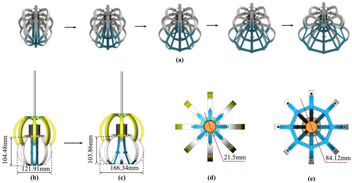 Closed and open states of the gripper. (a) The process of opening the gripper. (b) Dimensions of the closed gripper. (c) Dimensions of the open gripper.(d) Dimensions of the closed thermoplastic elastomer belt-made net. (e) Dimensions of the open thermoplastic elastomer belt-made net.