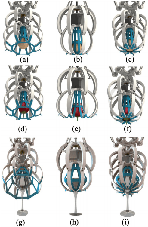 Detailed processes of grasping egg, rose, and glass