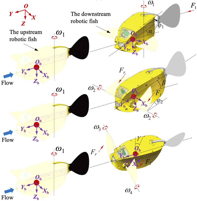 Relative attitudes between two adjacent boxfish-like robot (Photo by Xingwen Zheng)