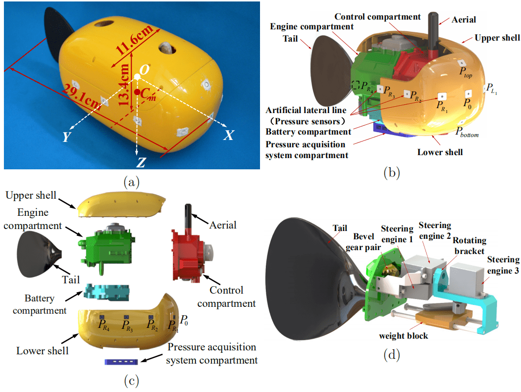 Prototype and components of the single-tail-actuated boxfish-like robot (Photo by Xingwen Zheng)