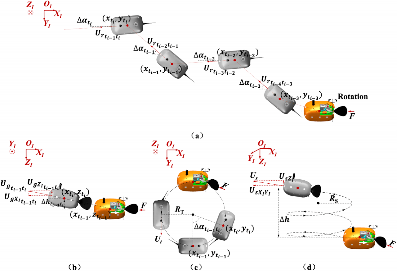 Multiple swimming patterns of the single-tail-actuated boxfish-like robot (Photo by Xingwen Zheng). (a) Turning swimming. (b) Forward swimming. (c) Gliding Swimming. (d) Spiral swimming.